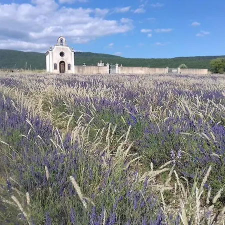 Σπίτι διακοπών Les Granges Dans Ferme Provencale. 14 Pers