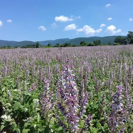 Les Granges Dans Ferme Provencale. 14 Pers Σπίτι διακοπών Ongles