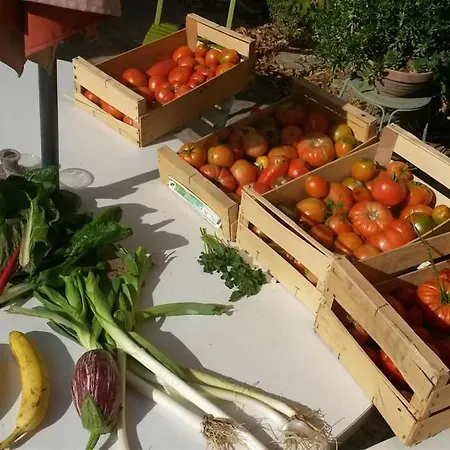 Σπίτι διακοπών Les Granges Dans Ferme Provencale. 14 Pers *